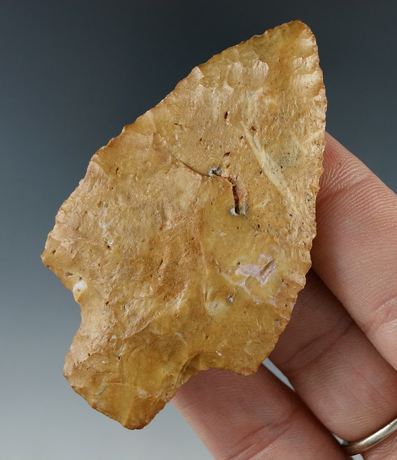 2 5/8" stemmed knife found in Pasco Co., Florida.