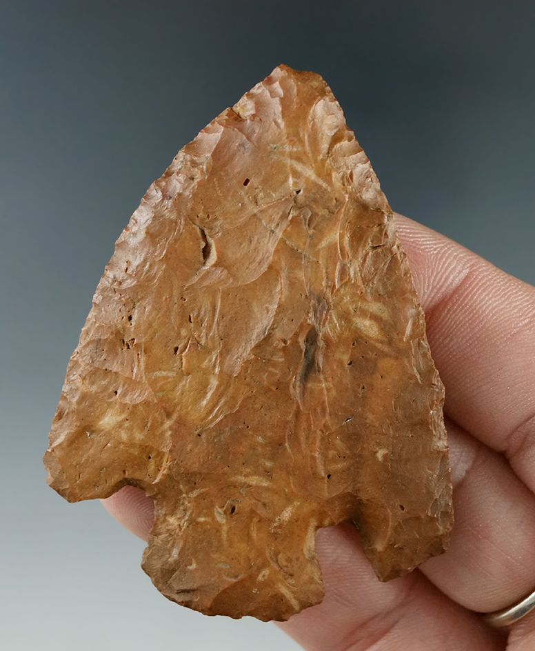 2 7/16" Cornernotch Knife found in Alachua Co., Florida.