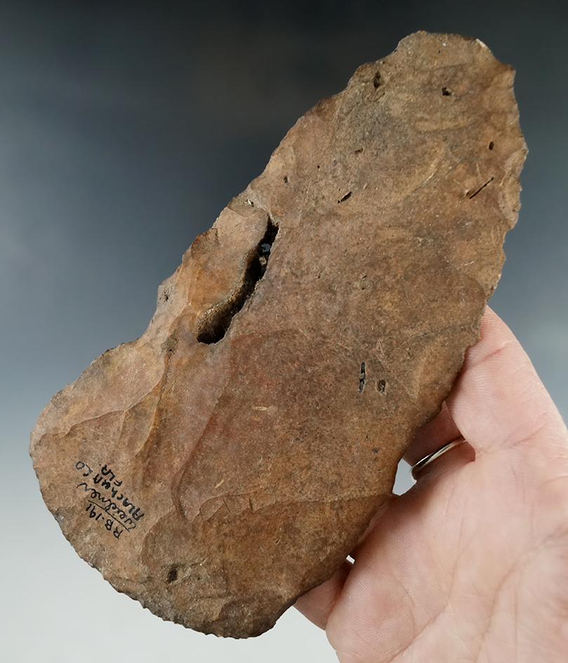 Large 5 9/16" Flint blade is heavily patinated found in Alachua Co., Florida.