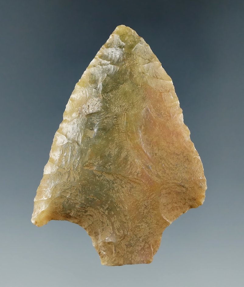 2 3/16" Levy point made from heat-treated Agatized coral found in Florida.