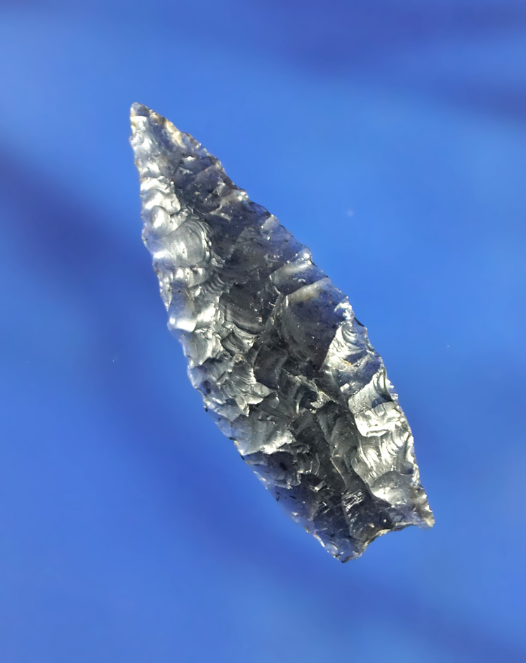 1 9/16" Humboldt found in Nevada.