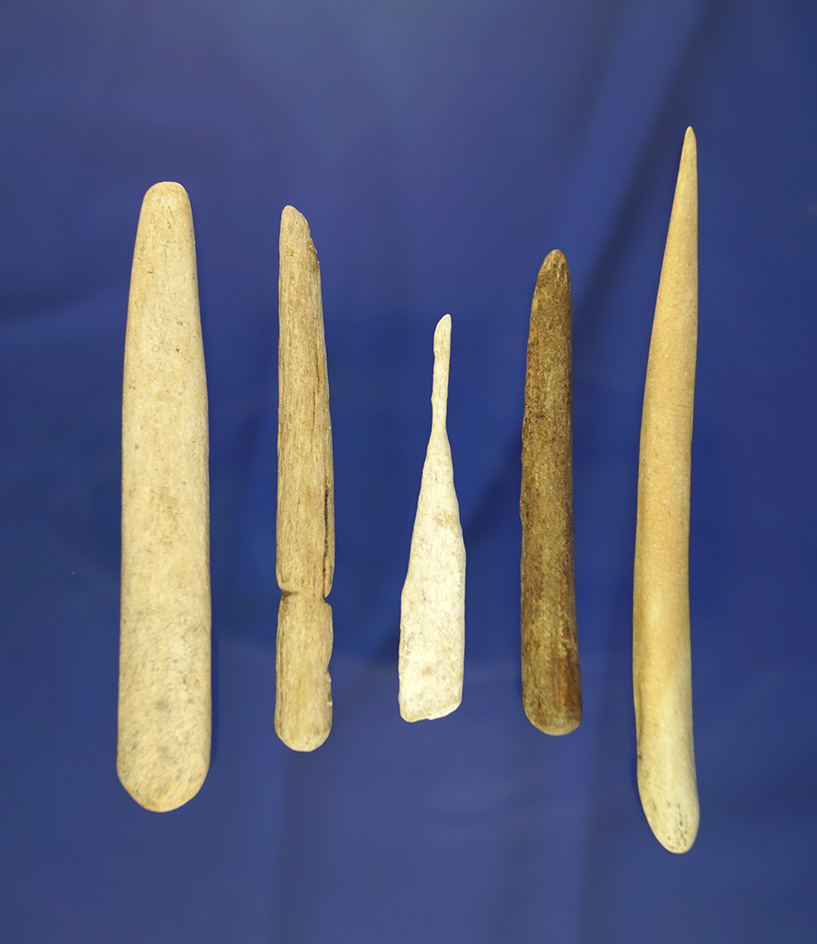 Nice set of five bone awls and tools found near the Missouri River in South Dakota.