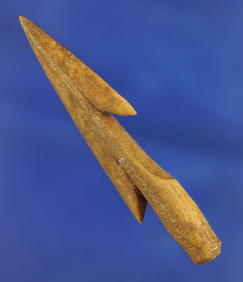 2 1/2" Bone Harpoon tip found in Alaska.