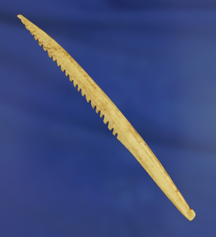 3 5/8" Harpoon Tip with exceptional serrations along the edge found in Alaska.