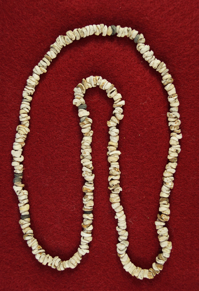 Nice strand of drilled shell beads found in 1961 on private land near Klamath Lake, Oregon.