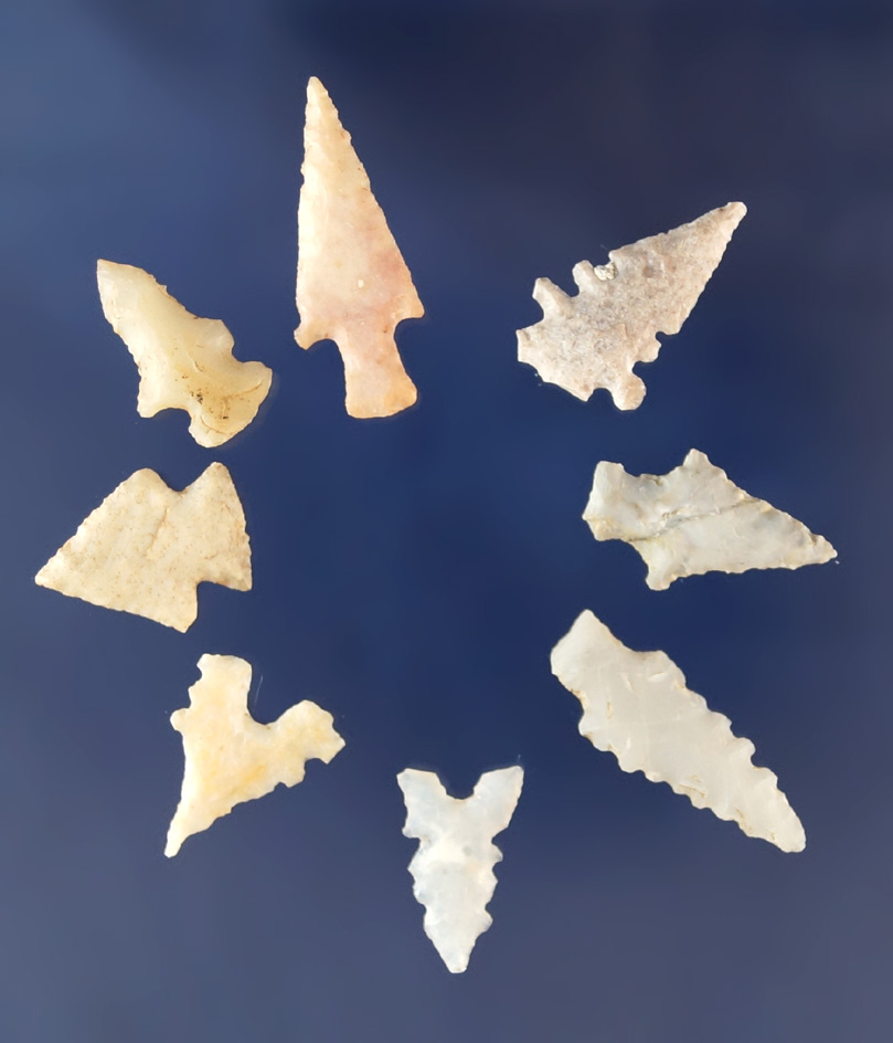 Nice group of eight assorted Texas area Arrowheads, largest is 1".