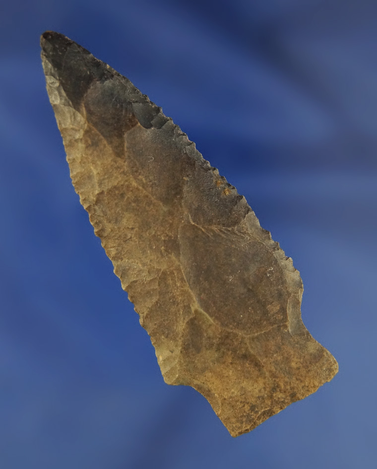 2 13/16" Tennessee Arrowhead with excellent micro serrations on the Blade edges.