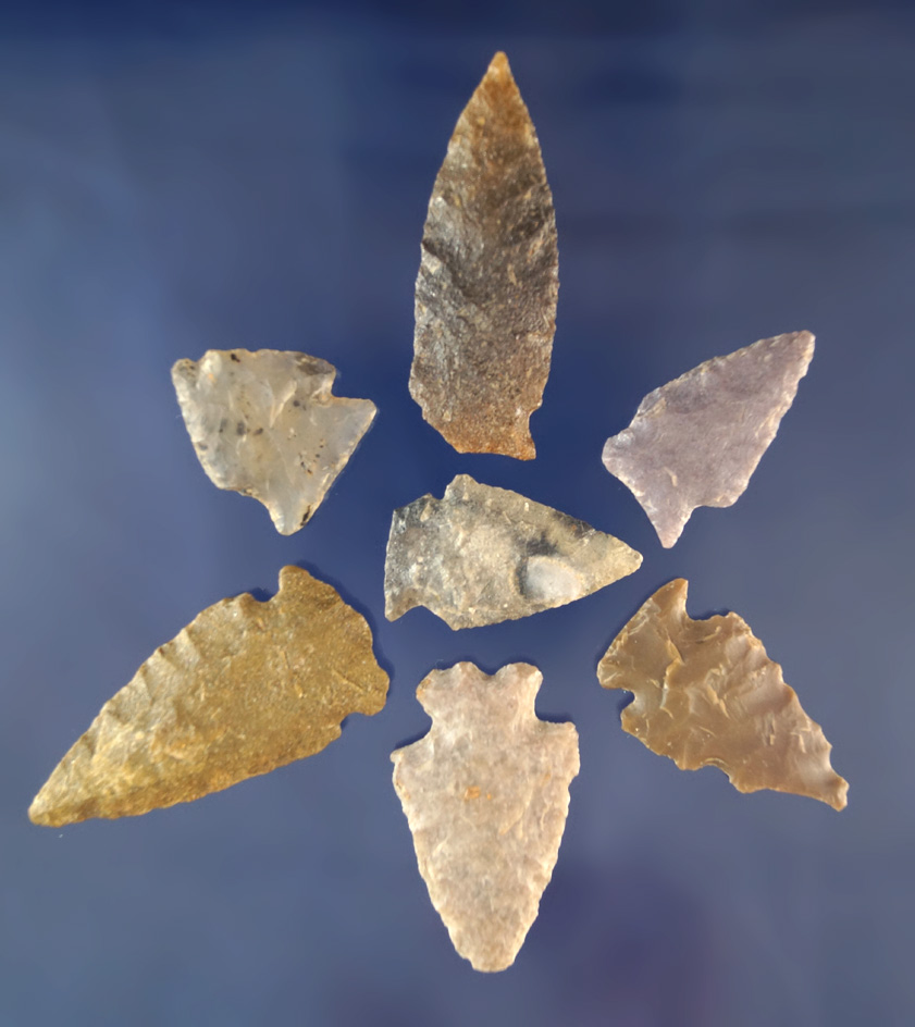 Set of seven assorted Arrowheads found in Wyoming, largest is 1 15/16".