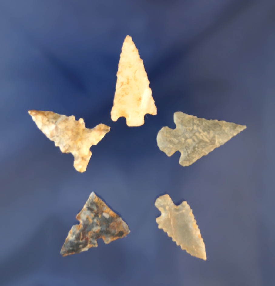 Set of five Texas area Arrowheads, largest is 1 1/8".