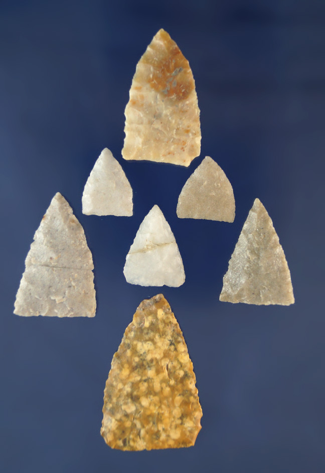 Set of seven Plains Triangles, largest is 1 9/16" found near the Belle Fourche River in Wyoming.