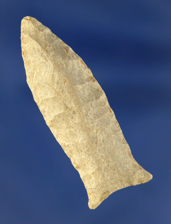 Sale highlight!  Paleo Beaver Lake that is 1 11/16" long found in Kentucky. Stermer COA.