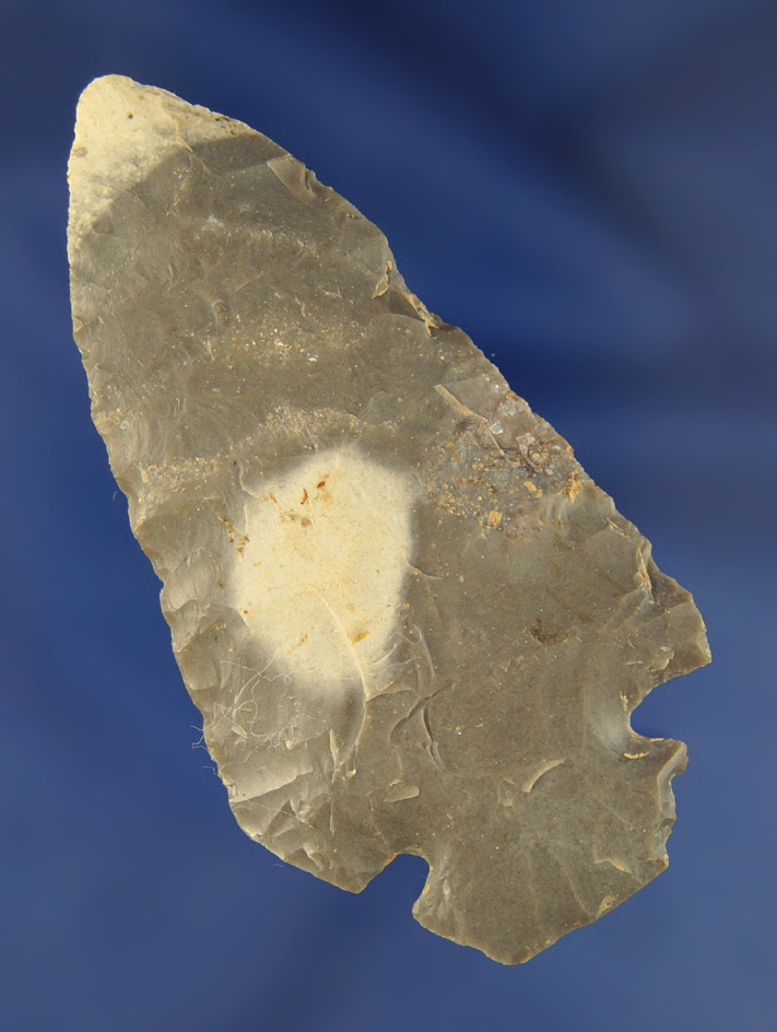 3 1/16" Hornstone Dovetail found in Daviess Co.,  Kentucky.