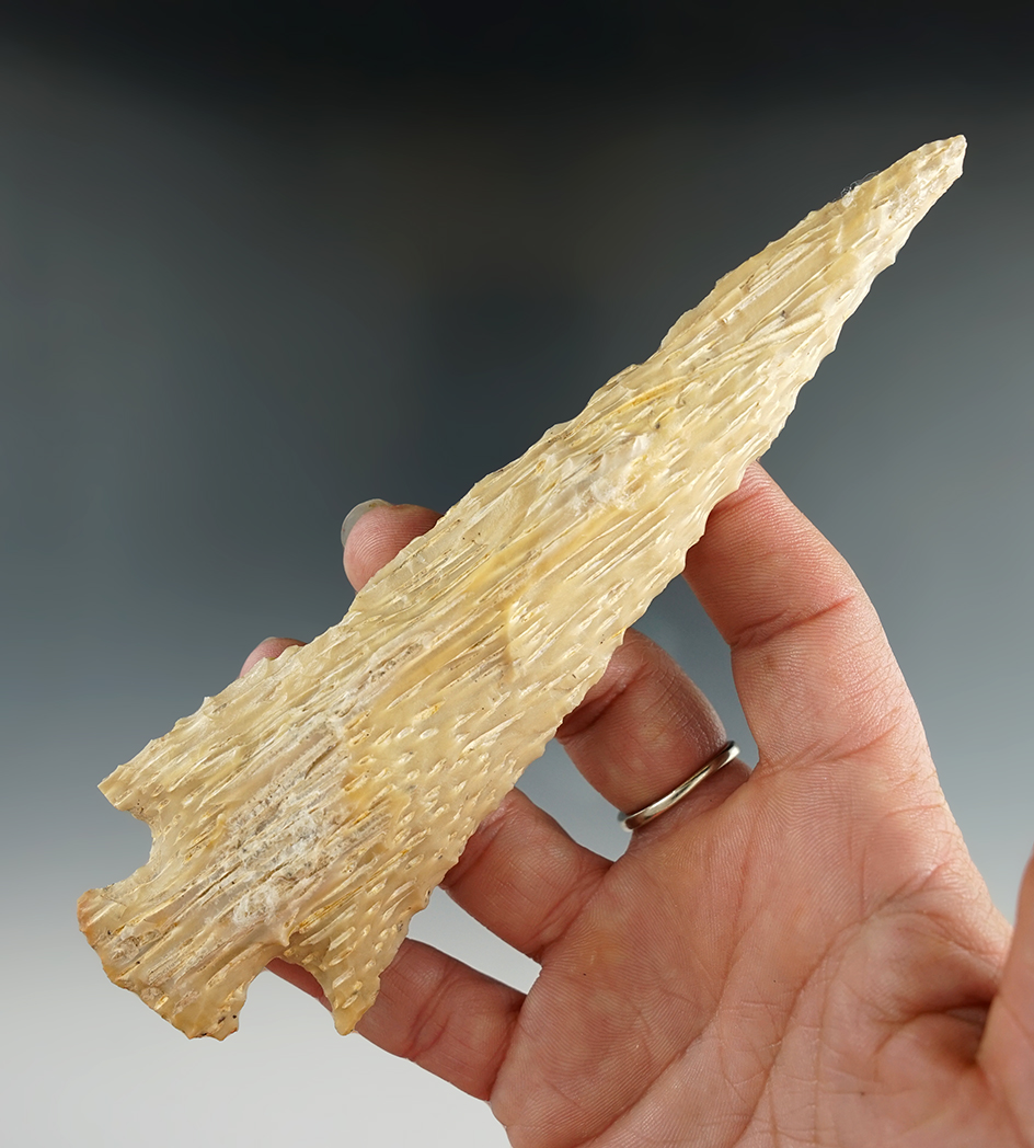 6 1/16" Epps made from Agatized Palm Wood. Calcasieu Parish, Louisiana. Rogers COA.