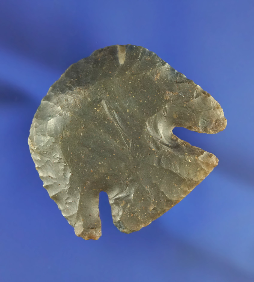 Truly exceptional 1 7/8" wide Lost Lake hafted scraper found in northern Kentucky.