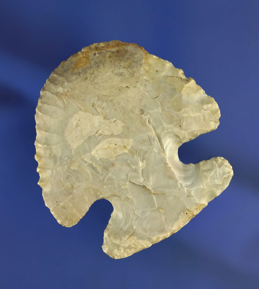 2" wide well styled Hafted Scraper found in Ohio with incredible flaking.