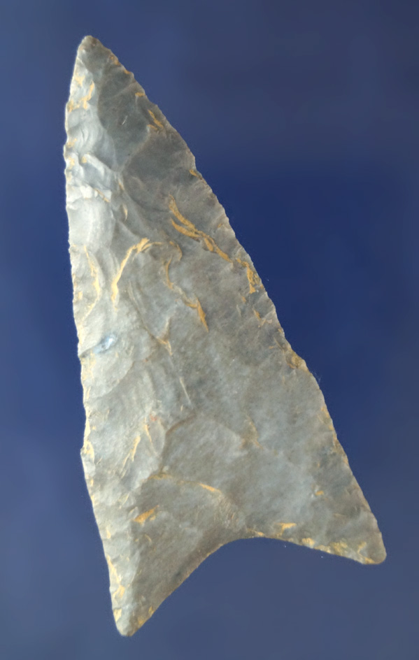 2 5/8" Hornstone Dalton that is well flaked  found in Daviess Co., Kentucky.