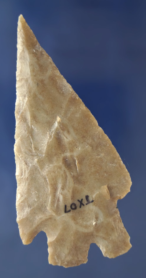 3 7/16" Montell found in Texas that is nicely styled. Ex. Len Weidner collection