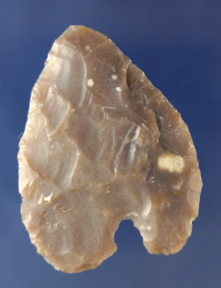 1 15/16" Carrizo made from semi translucent material found in Texas.