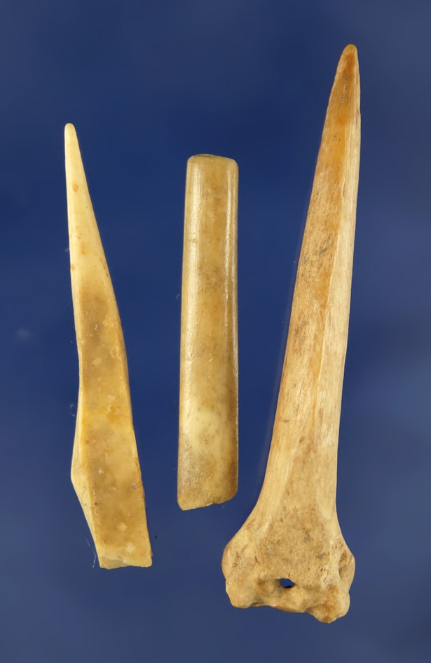 Set of three bird bone Artifacts including a 2 9/16" drilled awl, and a bone bead.  Kentucky.