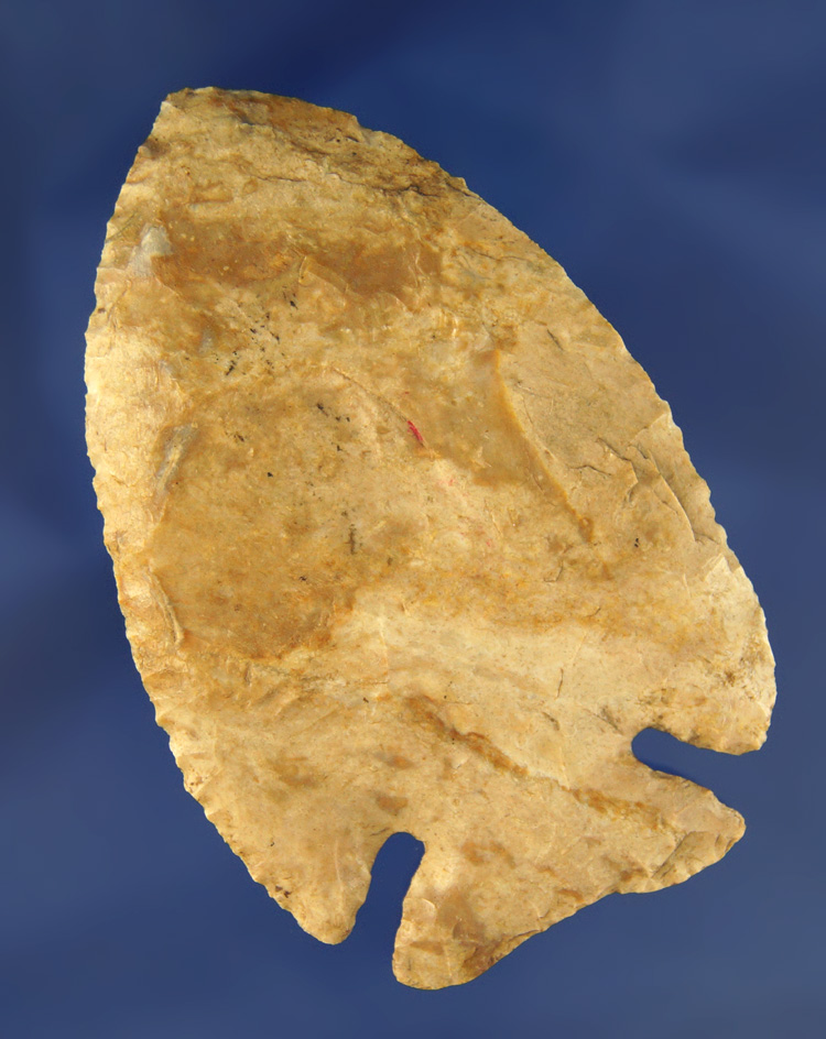 Nice! 3 5/8" Thebes with slightly beveled edges - nearly first stage! Found in Knox Co., Illinois