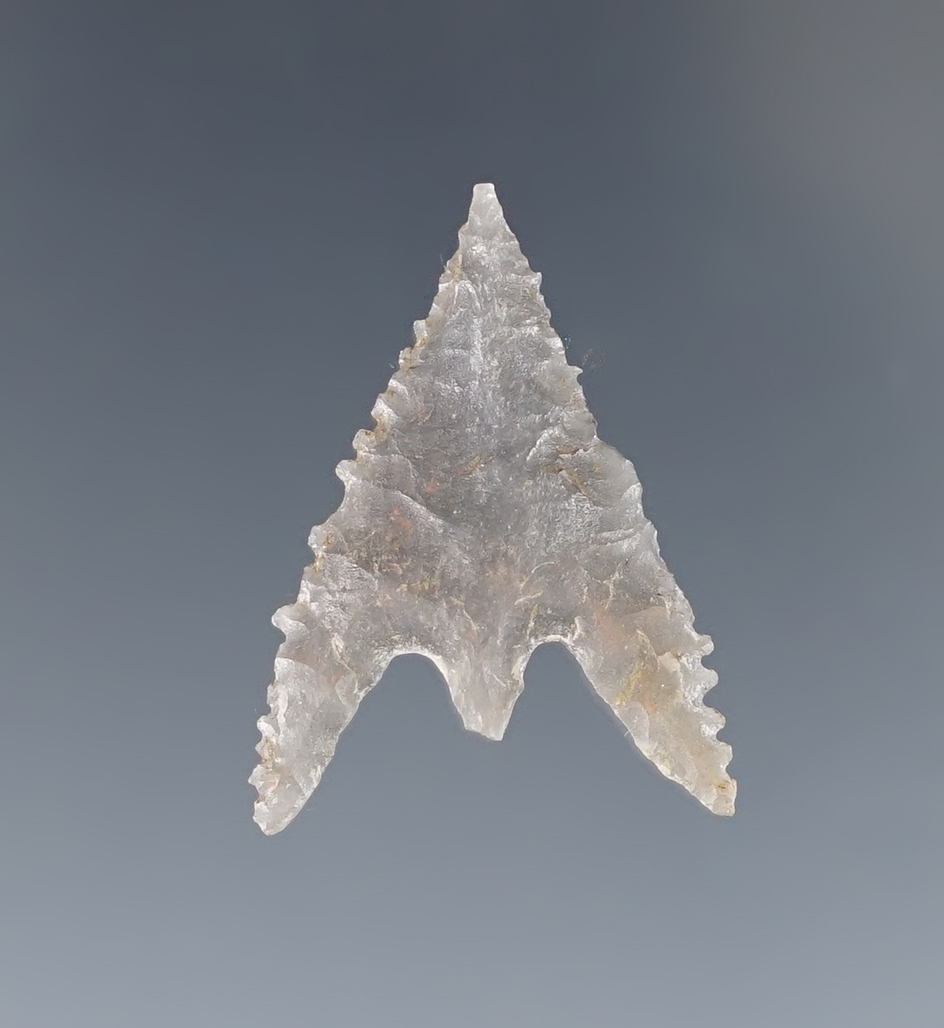 1" Gunther with incredible miniature edge serrations found in southern Oregon. 