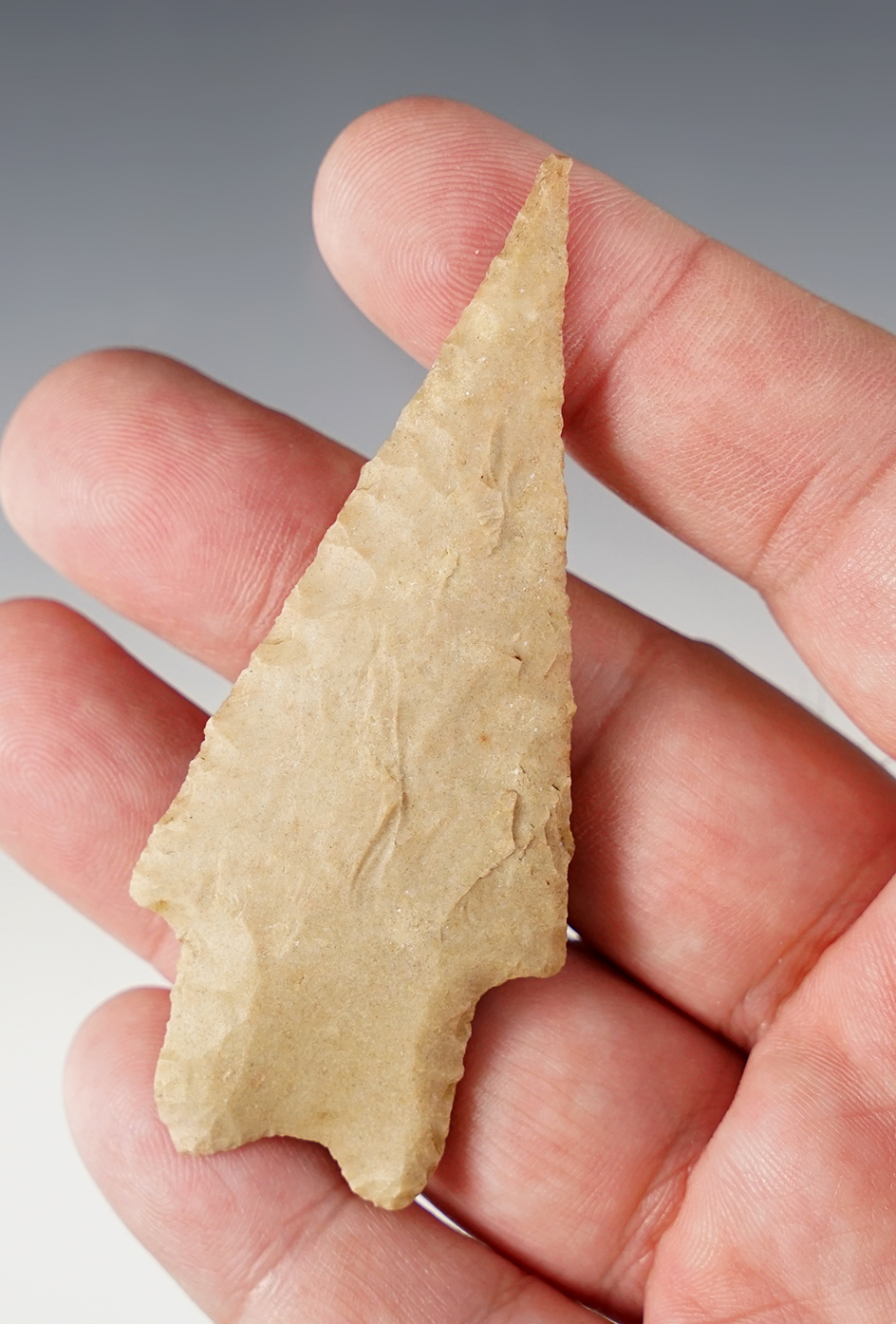 Nicely styled 3 1/16" Pedernales found in Bandera Co., Texas. Comes with an Arnold COA.