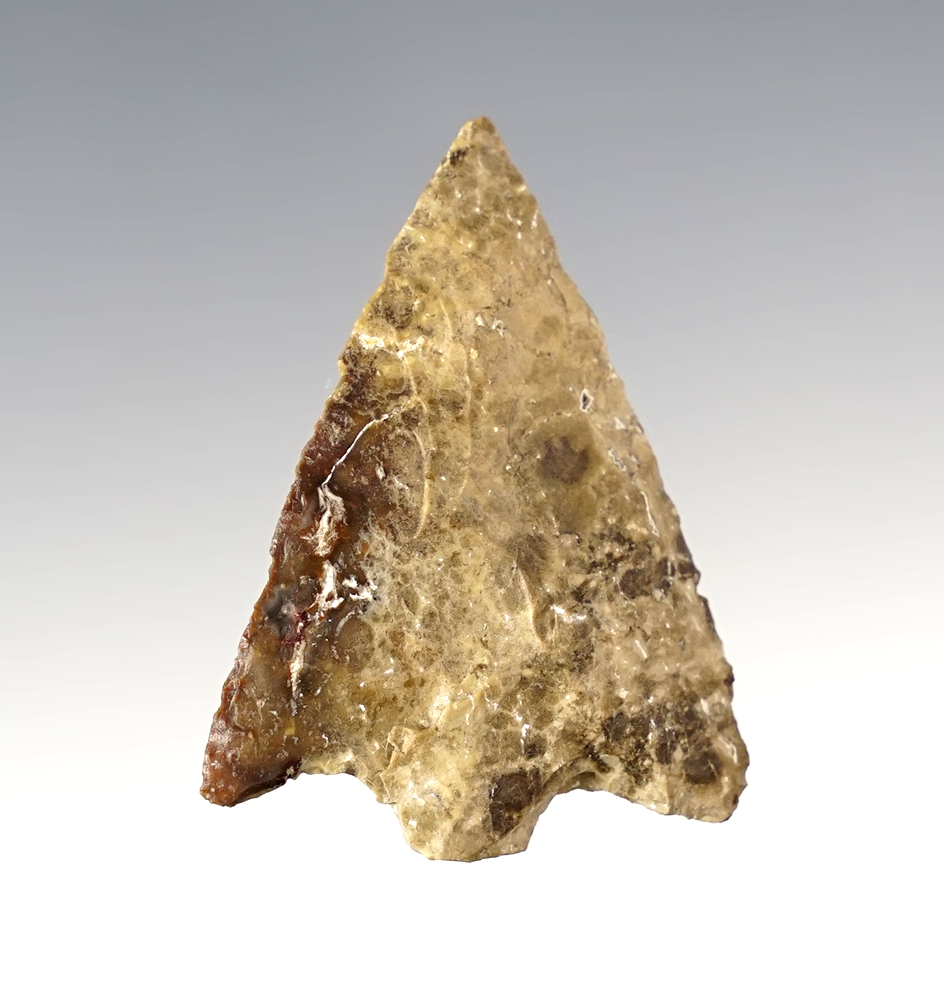 1 3/4" Hillsborough Point that is nicely patinated recovered in Florida.