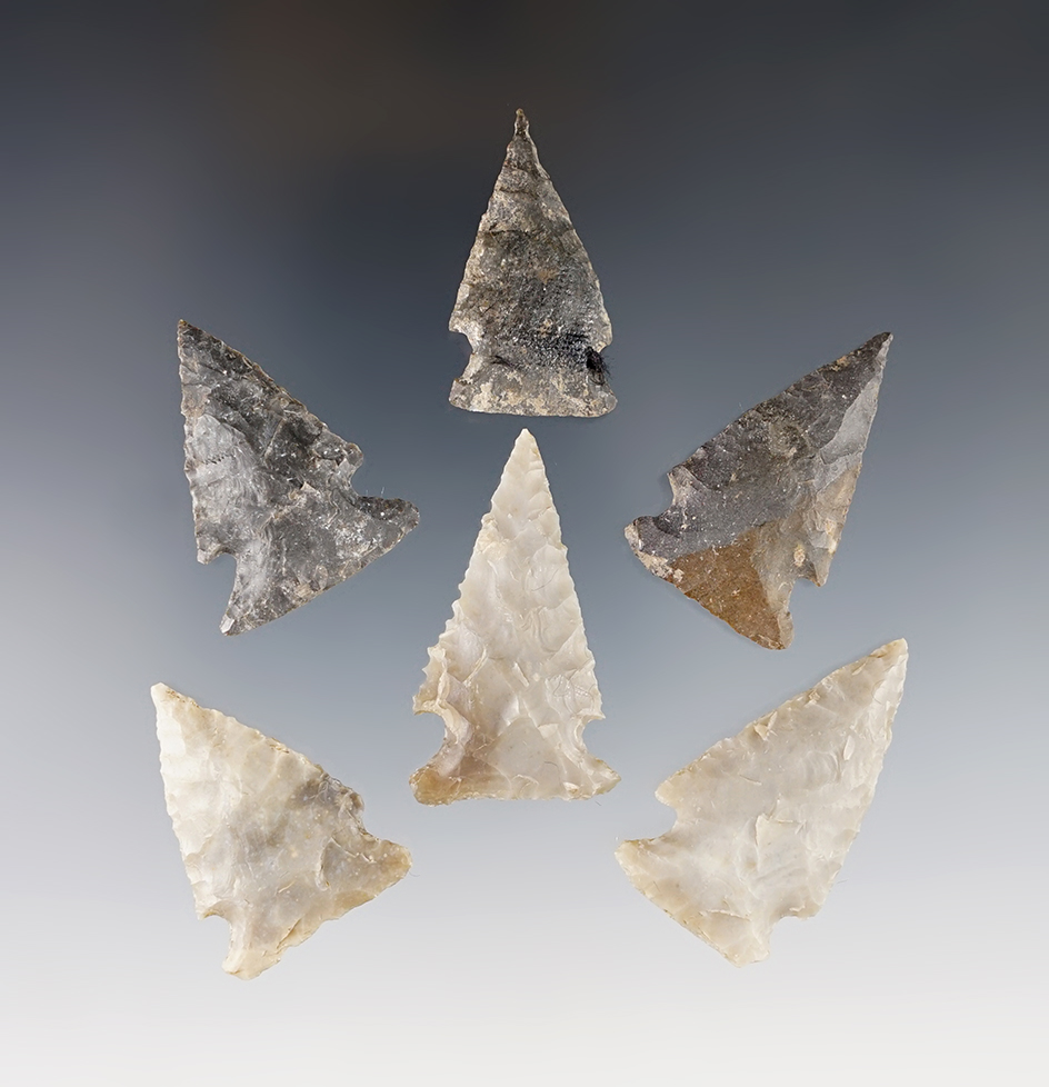 Group of six Texas dart points in nice condition. Largest is 2 5/8".