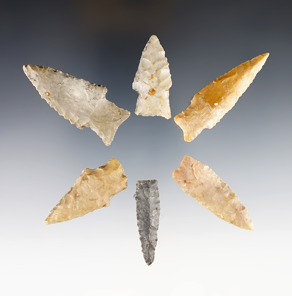 Group of sIx Darl Points found in Texas in very nice condition. Largest is 2 1/8".