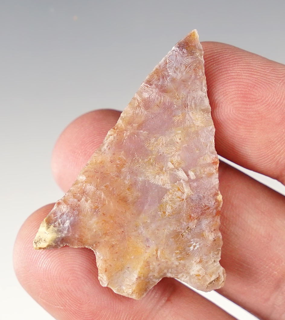 1 13/16" Hillsborough Point -  beautiful multi-color pink and purple material - Florida.