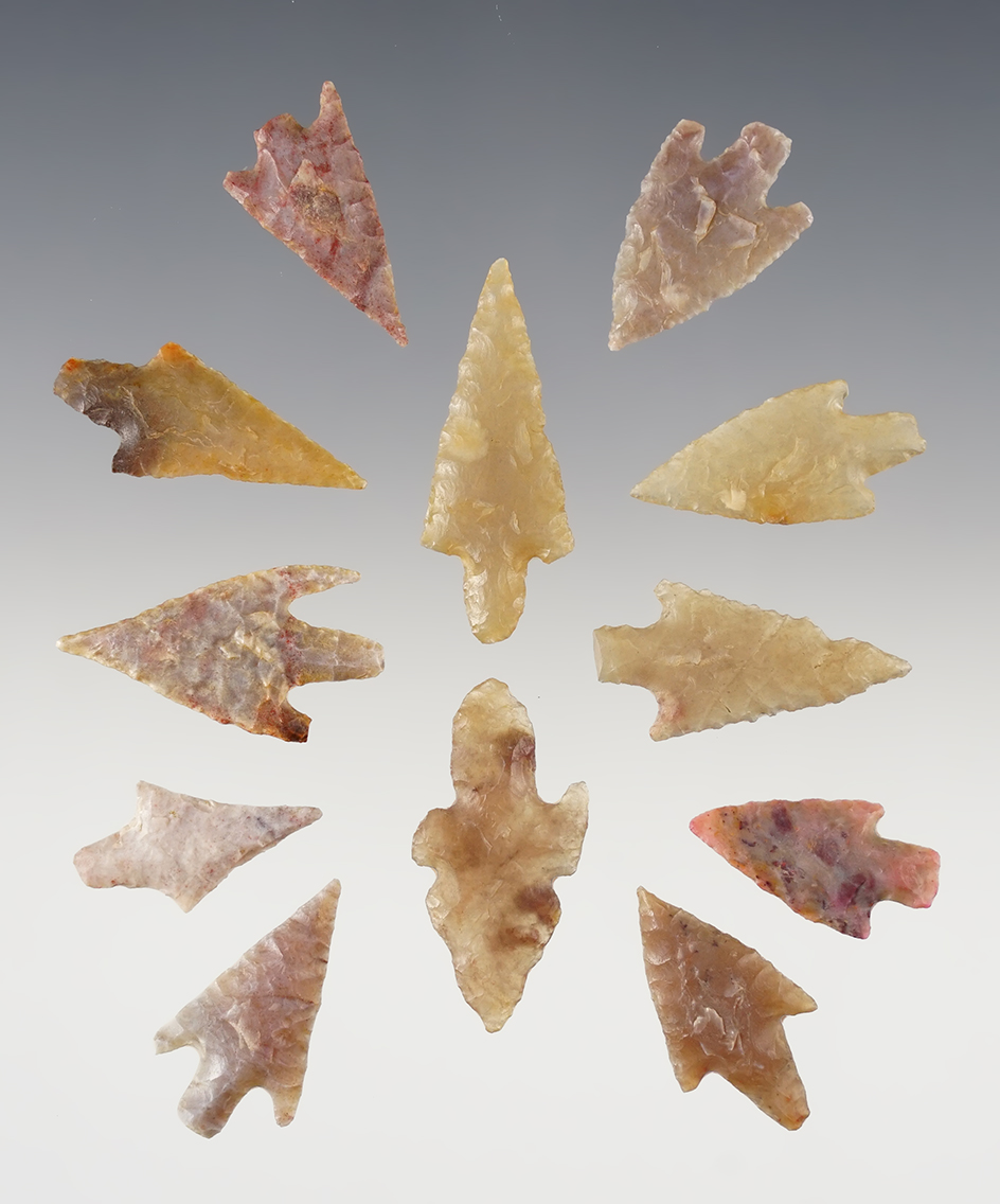 Set of 12 nice African Neolithic points. The largest is 1 7/16".
