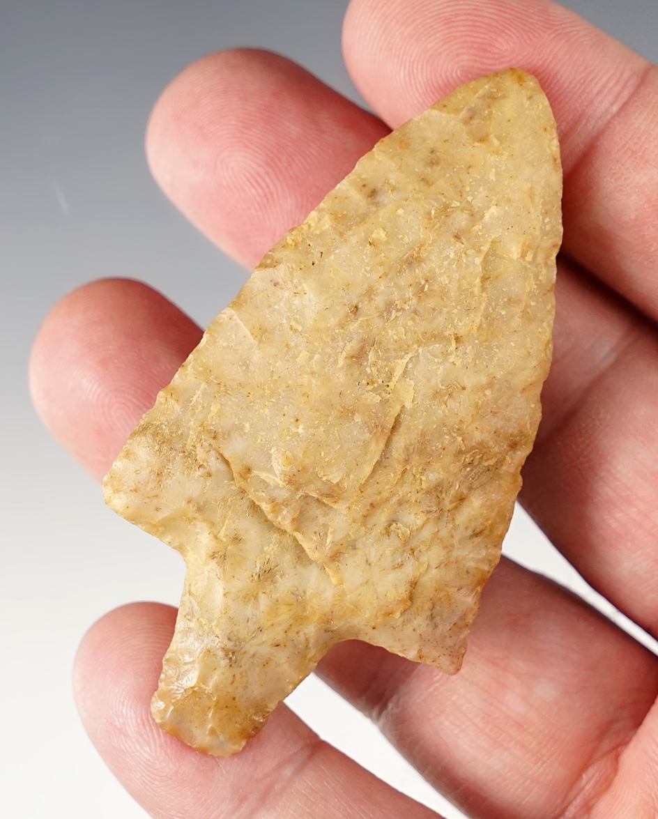 Fine 2 3/4" Newnan point found in Florida.