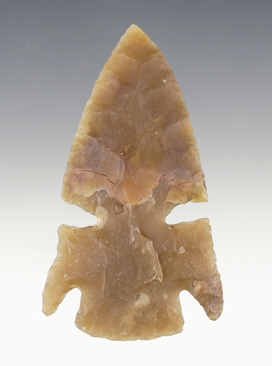 3" Eccentric Castroville - Texas. Restored.  Rogers COA & Certificate from Dr. Gomer.