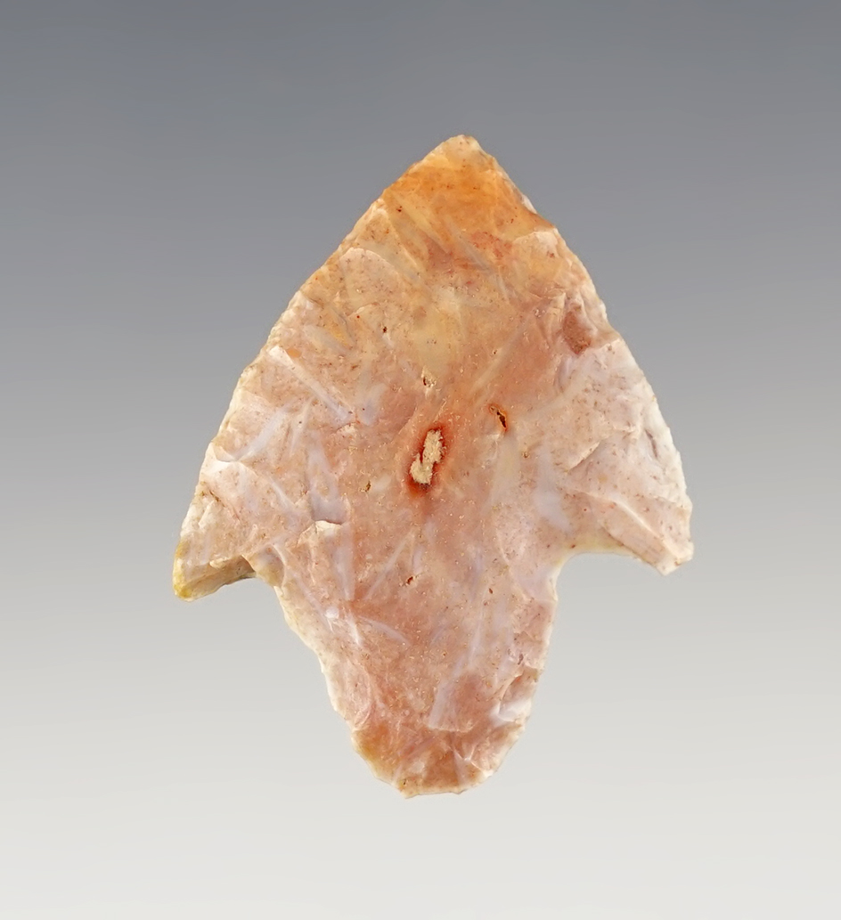 1 1/2" Marion Point recovered in Florida. Attractive multi-color pink and cream material.