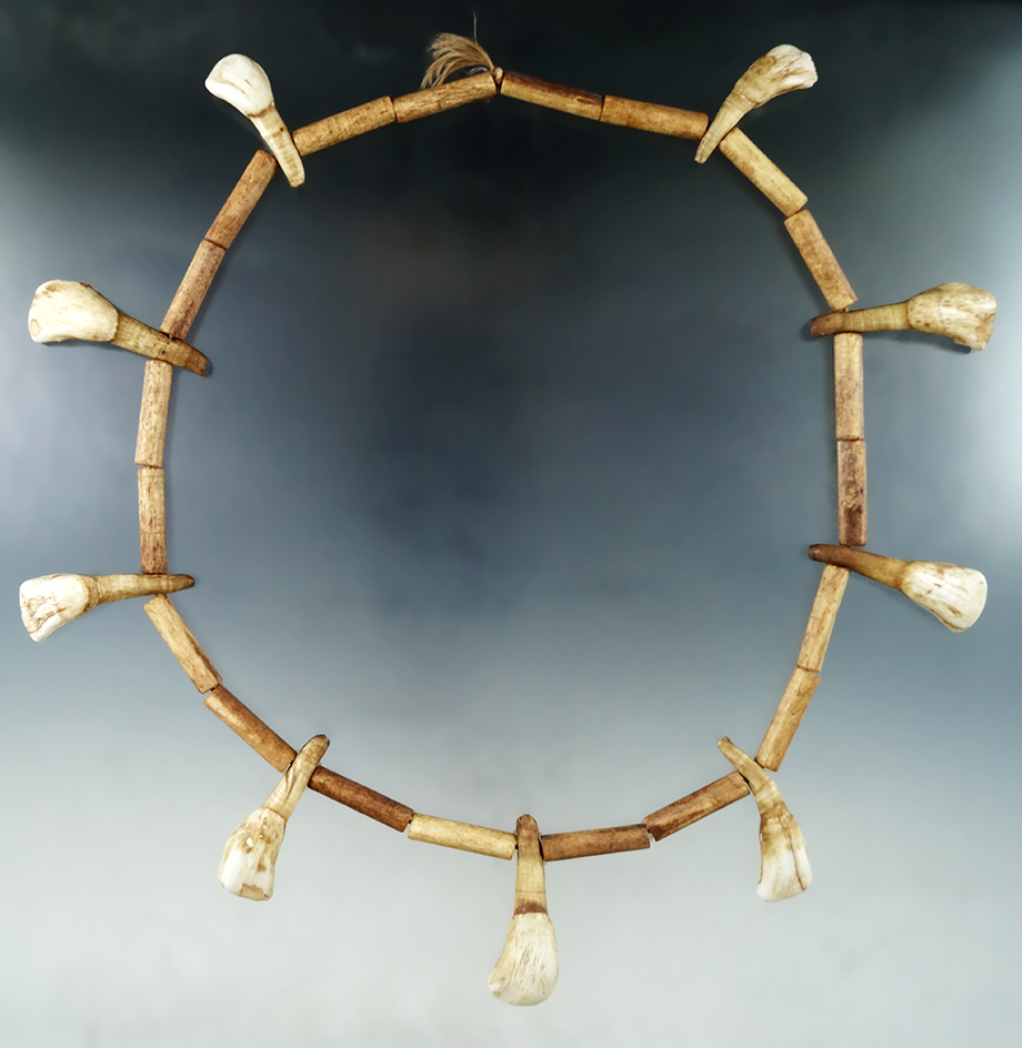 Buffalo tooth and bone tube bead necklace that makes a nice display.