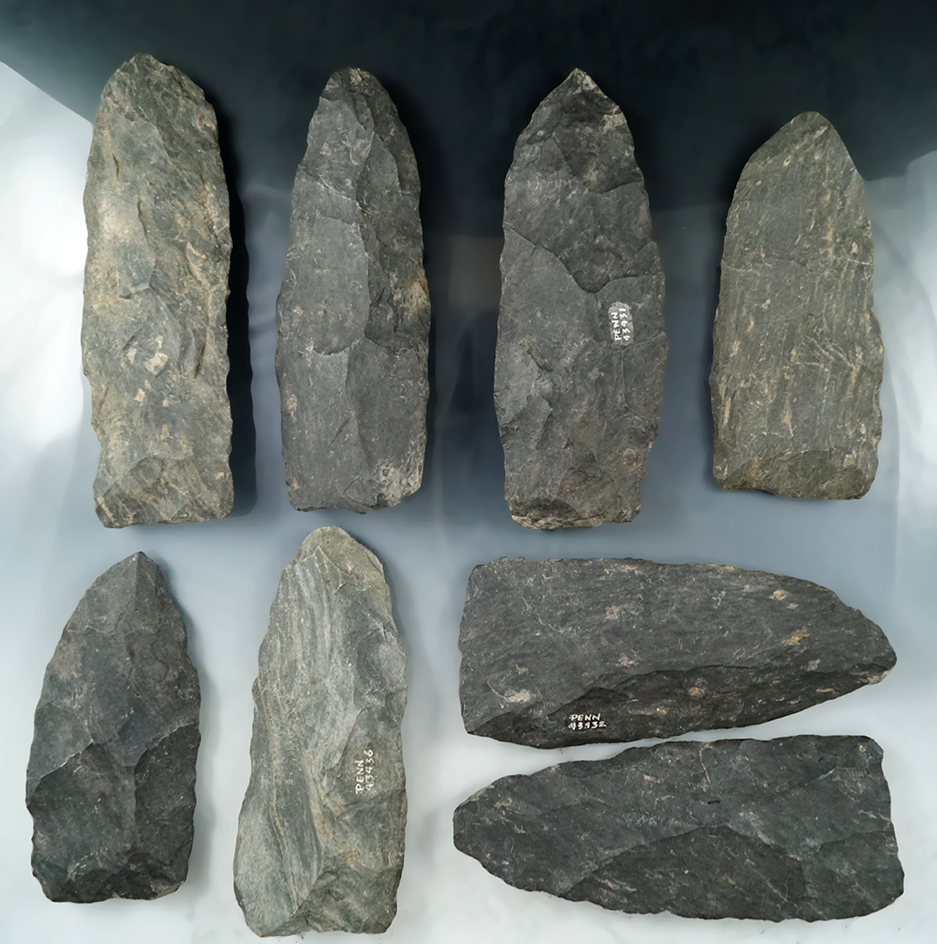 Set of eight Cache Blades found together at a site in Pennsylvania. Largest is 6 5/16".