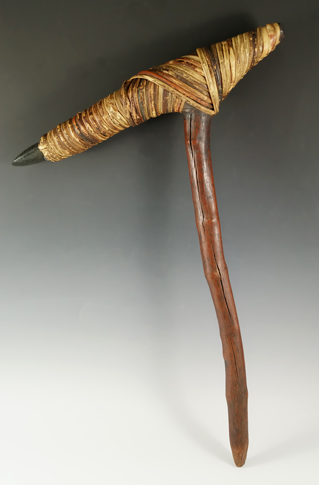 Simply incredible craftsmanship 17 1/2" long by 11 3/4" wide hafted Celt from Papua New Guinea.