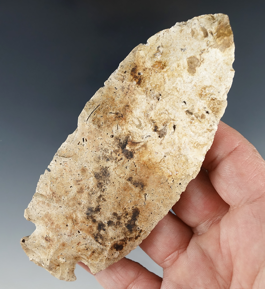 Large 4 1/2" Cornernotch Knife found in Sumter Co., Florida that is well patinated.