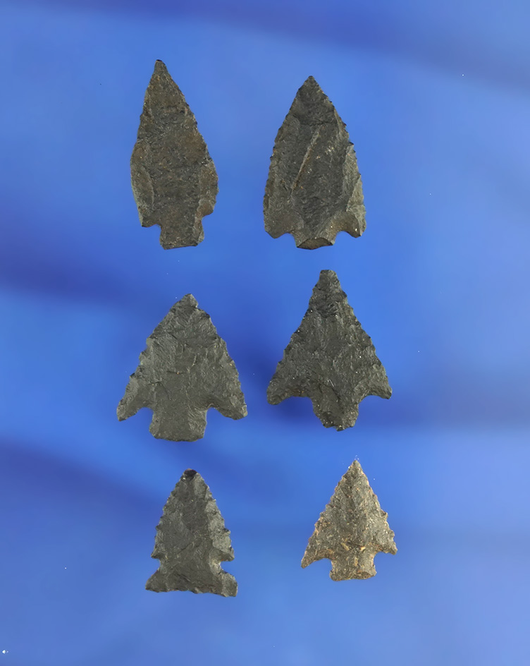 Set of six small arrowheads made from basalt that were well flaked, largest is 7/8". California.