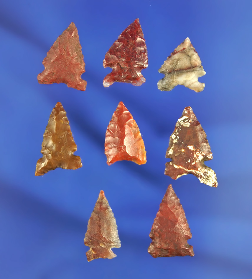 Set of eight colorful arrowheads, largest is 3/4". California.