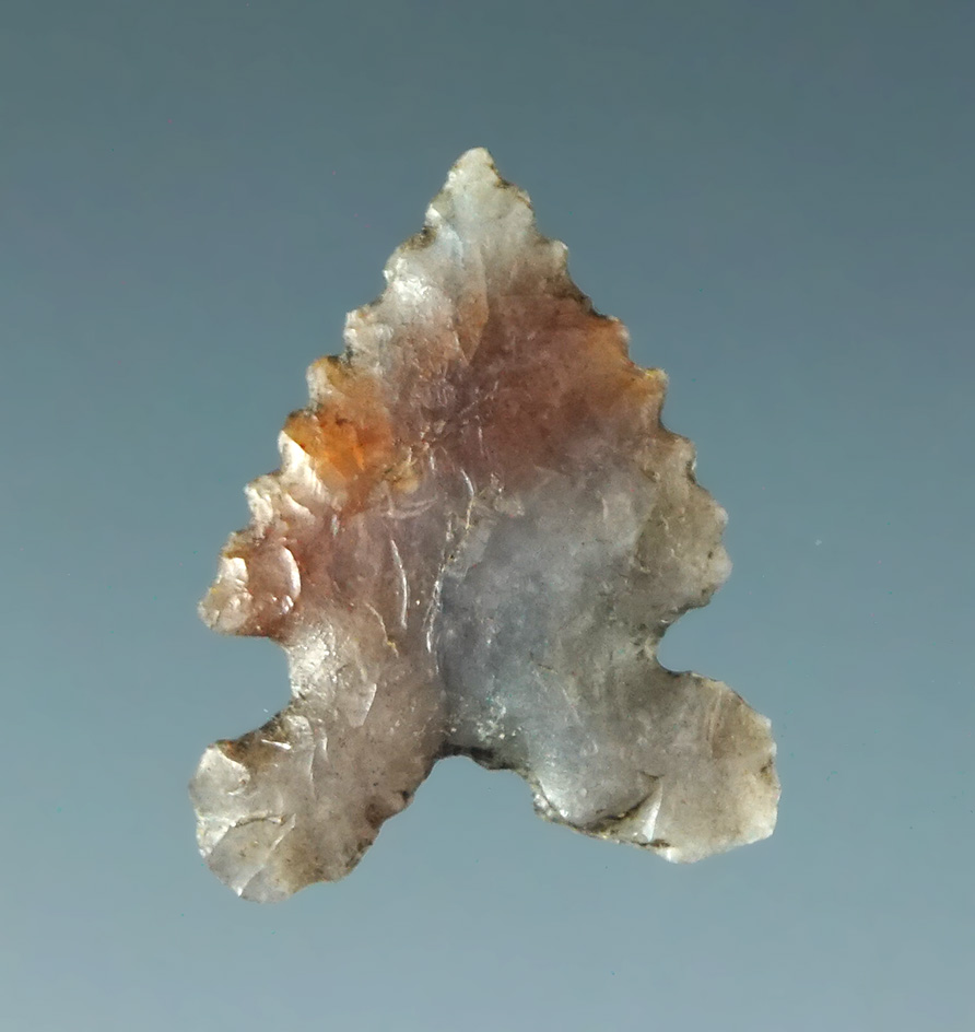 9/16" delicately made Desert Sierra with excellent edge serrations & material color. California.