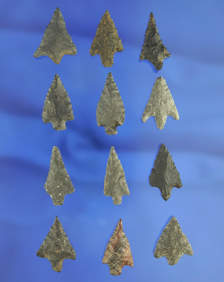 Set of 12 arrowheads in good condition, largest is 1". California.