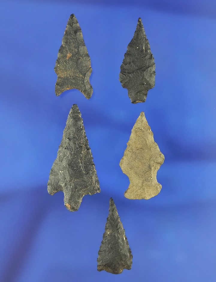 5 arrowheads that are nicely styled from basalt, largest is 1 5/16". California.