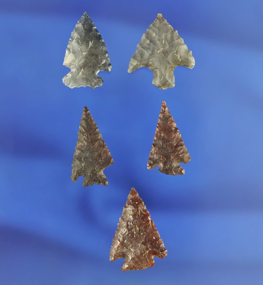 Set of five arrowheads in very nice condition found in northern California, largest is 3/4".