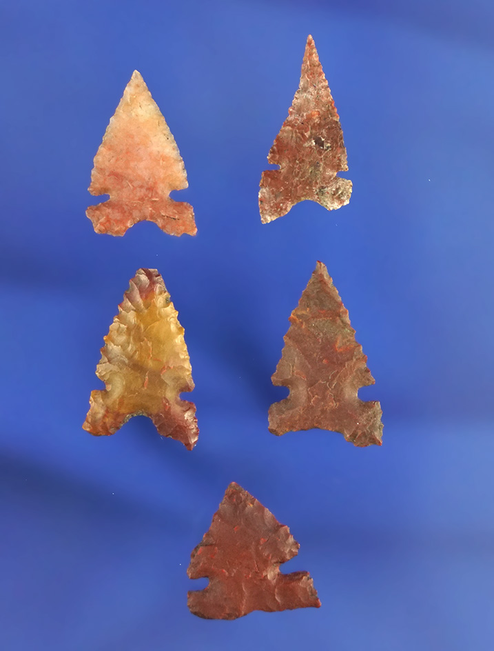 Set of five Desert Sidenotch arrowheads, largest is 3/4". California.