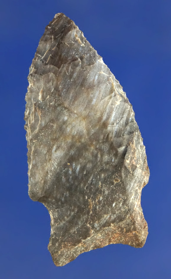1 3/4" Dart Point made from nicely striped material found near Pasco Washington.