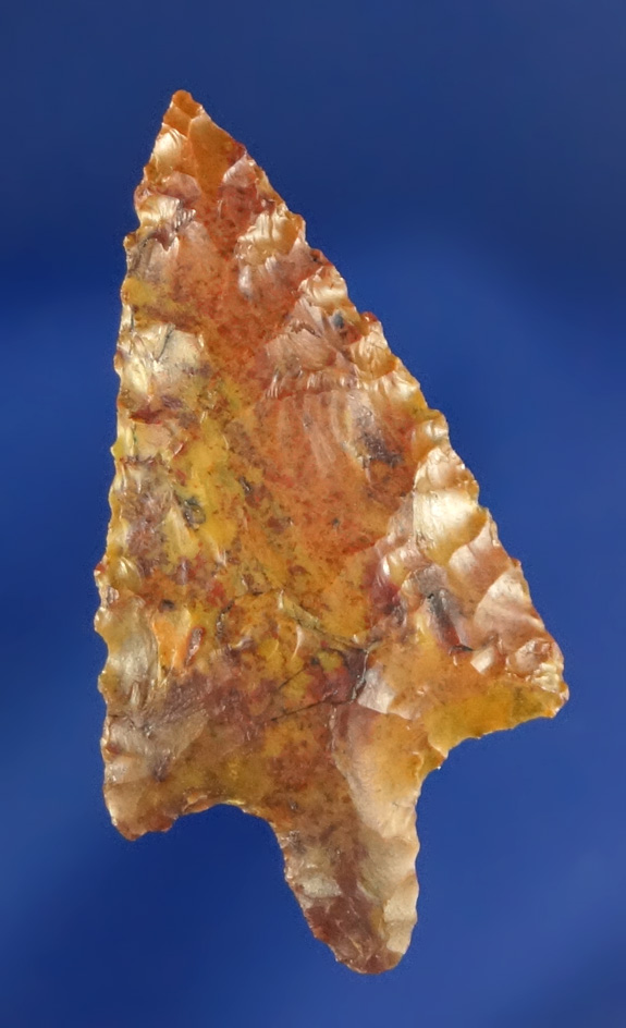 Beautiful material  on this well flaked 1 1/4" Jasper Wallula found in Oregon. Stermer COA.