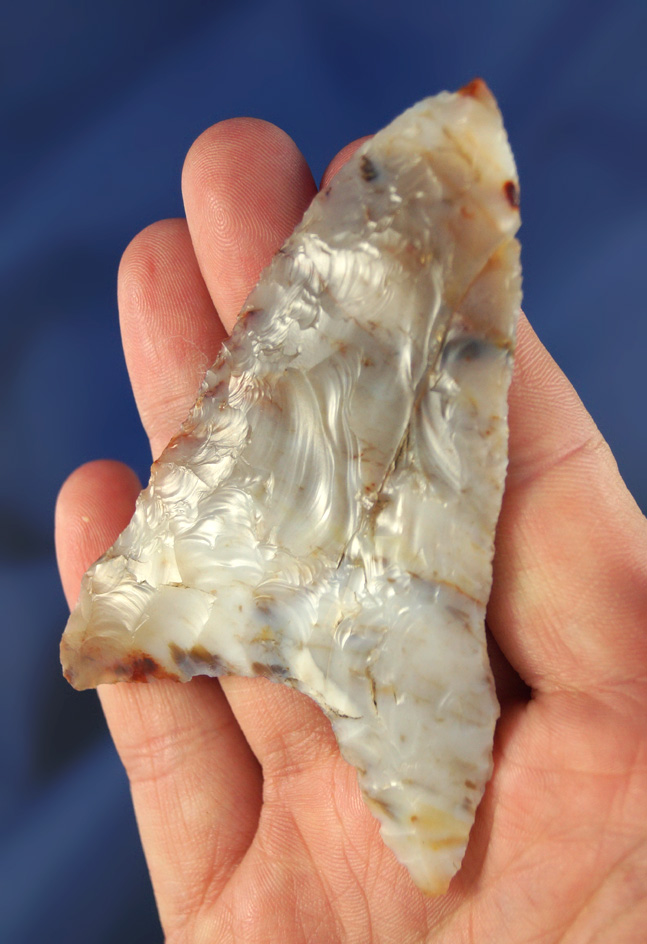 Sale Highlight! 3 1/2" Columbia Mule Ear  incredible high-quality multicolored Agate - Columbia