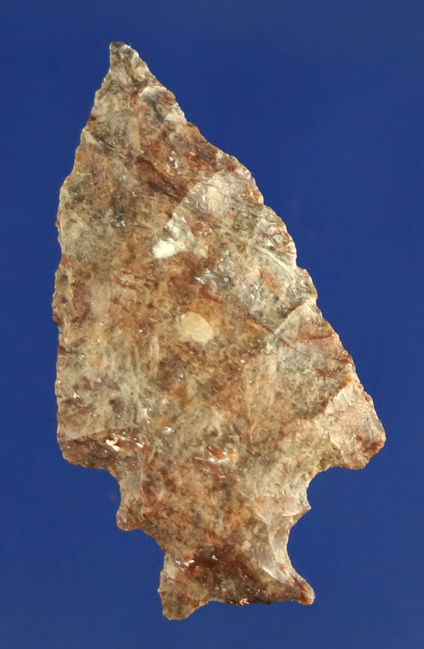 Rare and uniquely styled 1 3/8" Savies Island Shoulder Notched found near Portland Oregon