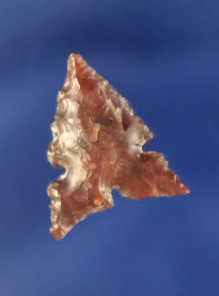 5/8" delicately flaked Desert Sierra made from attractive semi translucent Agate